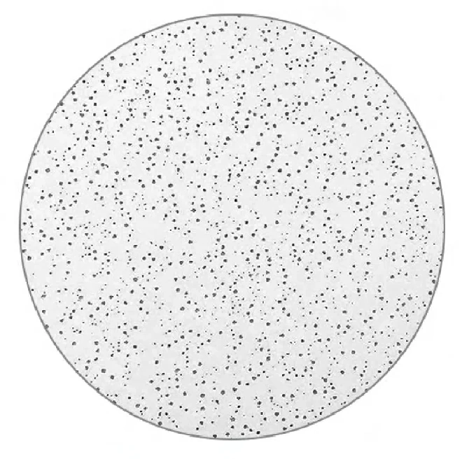 Snowball mineral fiber tile pattern reference